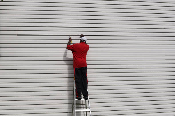 Best Siding Painting and Refinishing  in Bevil Oaks, TX